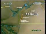 人与自然 自然发现--斑马