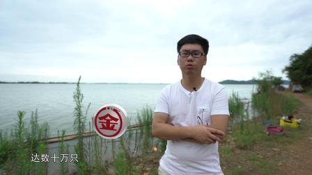 鹤类自然保护区会带给我们怎样不同的垂钓体验呢？