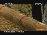 远方的家 百山百川行 第四十一集 盘龙河畔故事多《远方的家》 20130617