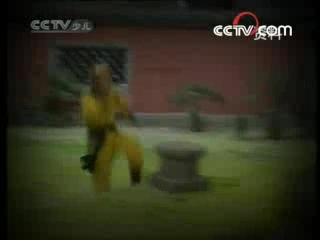 芝麻开门【央视】 仙果下凡间