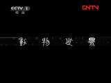 动物世界 《动物世界》 20111215