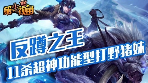 小苍第一视角 11杀超神功能型打野猪妹