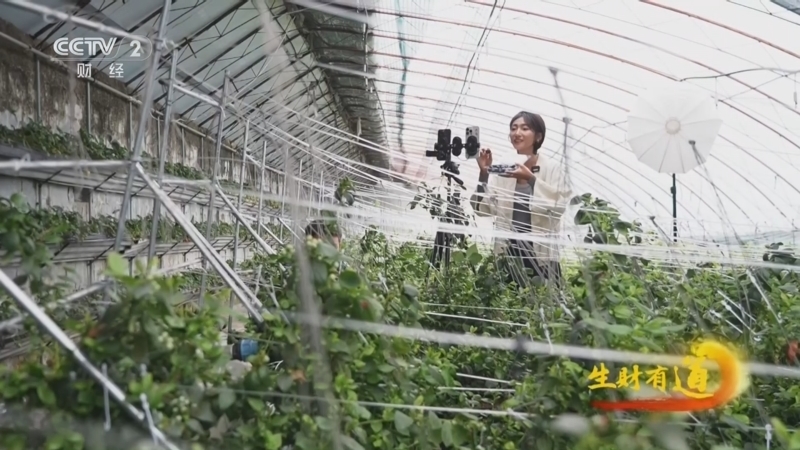 《生财有道》 20260424 返乡青春路 数字新农人