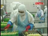 县域经济报道 《县域经济报道》 20110825