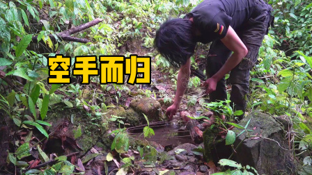 原始丛林人苏门答腊 第二季 荒野丛林中寻找食物，太冷太饿了，只能连夜赶回庇护所