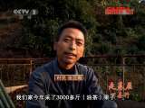 县域经济报道 《县域经济报道》 20111205