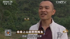 致富经 [致富经]偷偷上山去养鸭嘴鱼 20160615