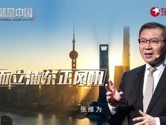 这就是中国 而立浦东正风帆