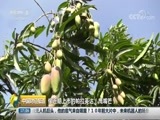 中国财经报道 《中国财经报道》 20180803 17:00