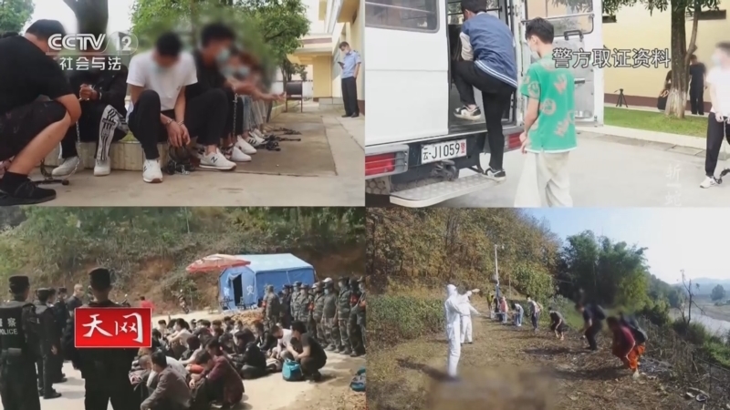 天网 《天网》 20230613 斩“蛇”行动