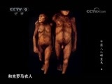 《历史传奇》 20110310 《中国人从哪里来》 第四集 特殊的东亚（上）