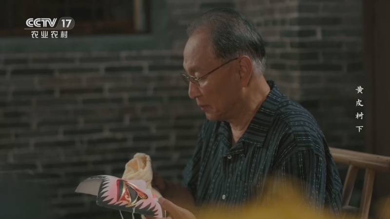 《黄皮树下》 第6集 最后一舞（下）