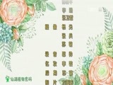 芝麻开门【央视】 《芝麻开门》 20170605