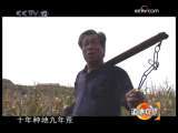 道德观察 爱在东庄