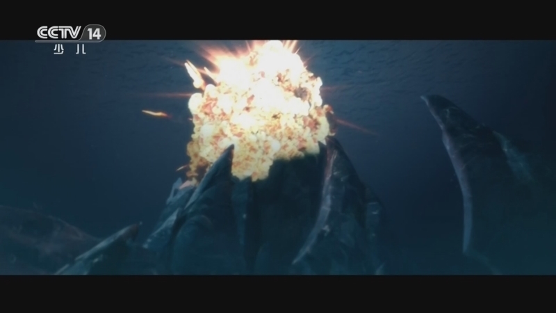 《动画大放映》 20260131 14:30