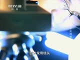 走近科学 《走近科学》 20150615 细菌看不见的战争