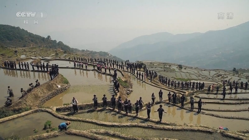 《中华民族》 20210929 云上梯田