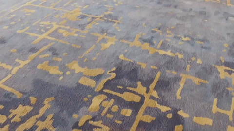 特别的发布会