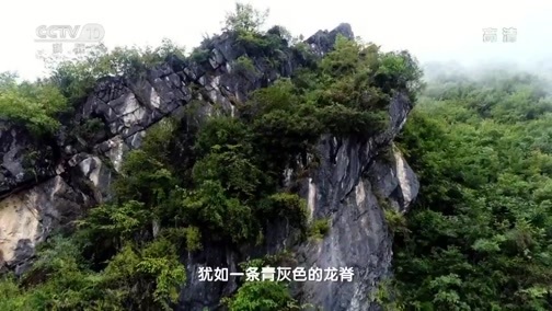 地理中国 《地理·中国》 20191107 船形山探秘
