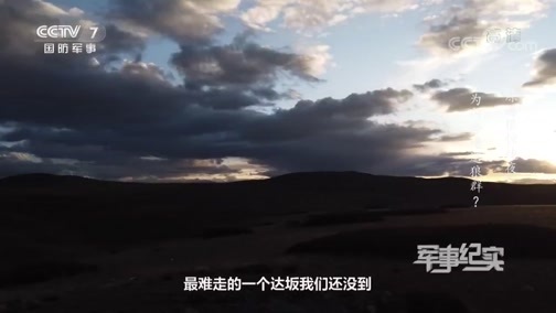 军事纪实 《军事纪实》 20191113 高原遇狼惊魂夜