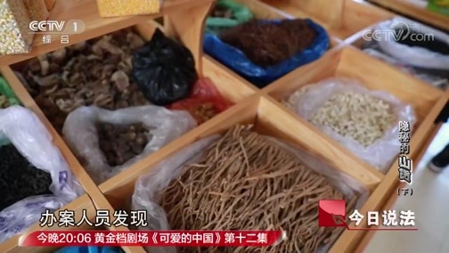 今日说法 《今日说法》 20190711 隐秘的“山货”（下）