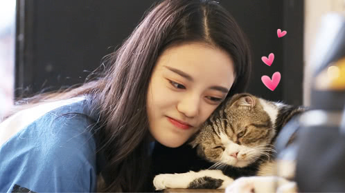 第11期：SNH48曼谷花式撸猫