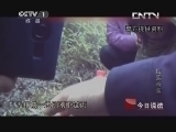 今日说法 《今日说法》 20130716 梅园奇案