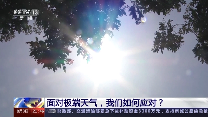 新闻1+1 《新闻1+1》 20230803 面对极端天气，我们如何应对？
