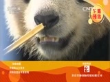 远方的家 《远方的家》 20150716 特别节目——暑假去游学（3）
