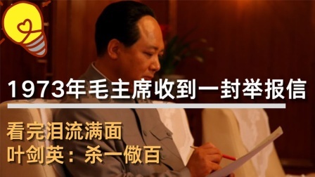 红墙往事 毛主席收到一封举报信，看完泪流满面，叶剑英：杀一儆百