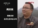 生财有道 《生财有道》 20120209 随“鸡”而来的千万财富