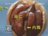 我爱发明 《我爱发明》 20140327 破壳利器