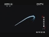 动物世界 《动物世界》 20121219 怒放的生命（一）
