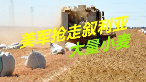 无本万利，美军不仅偷运叙利亚石油，还抢走上千辆卡车小麦