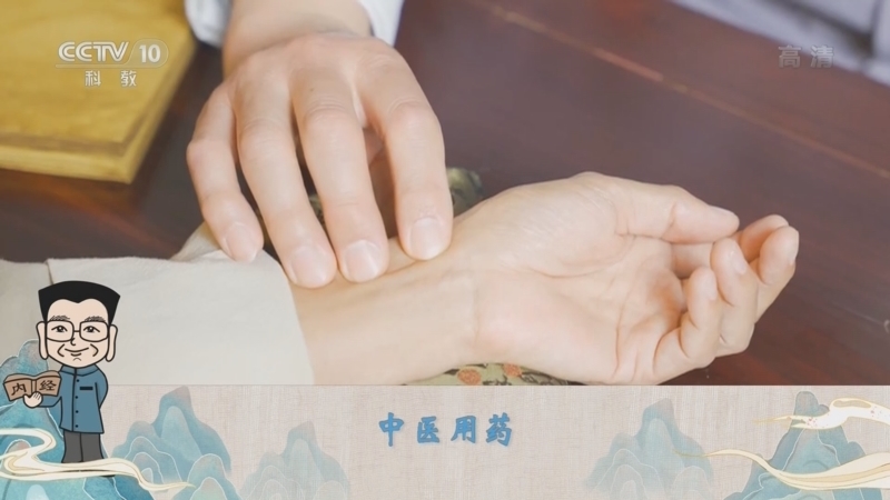 百家讲坛 《百家讲坛》 20220325 了不起的《黄帝内经》 24 排兵布阵用方药