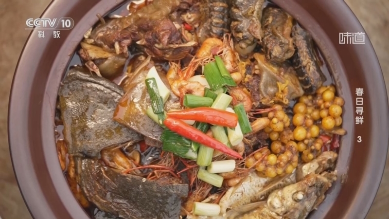 《味道》 20260406 春日寻鲜 3