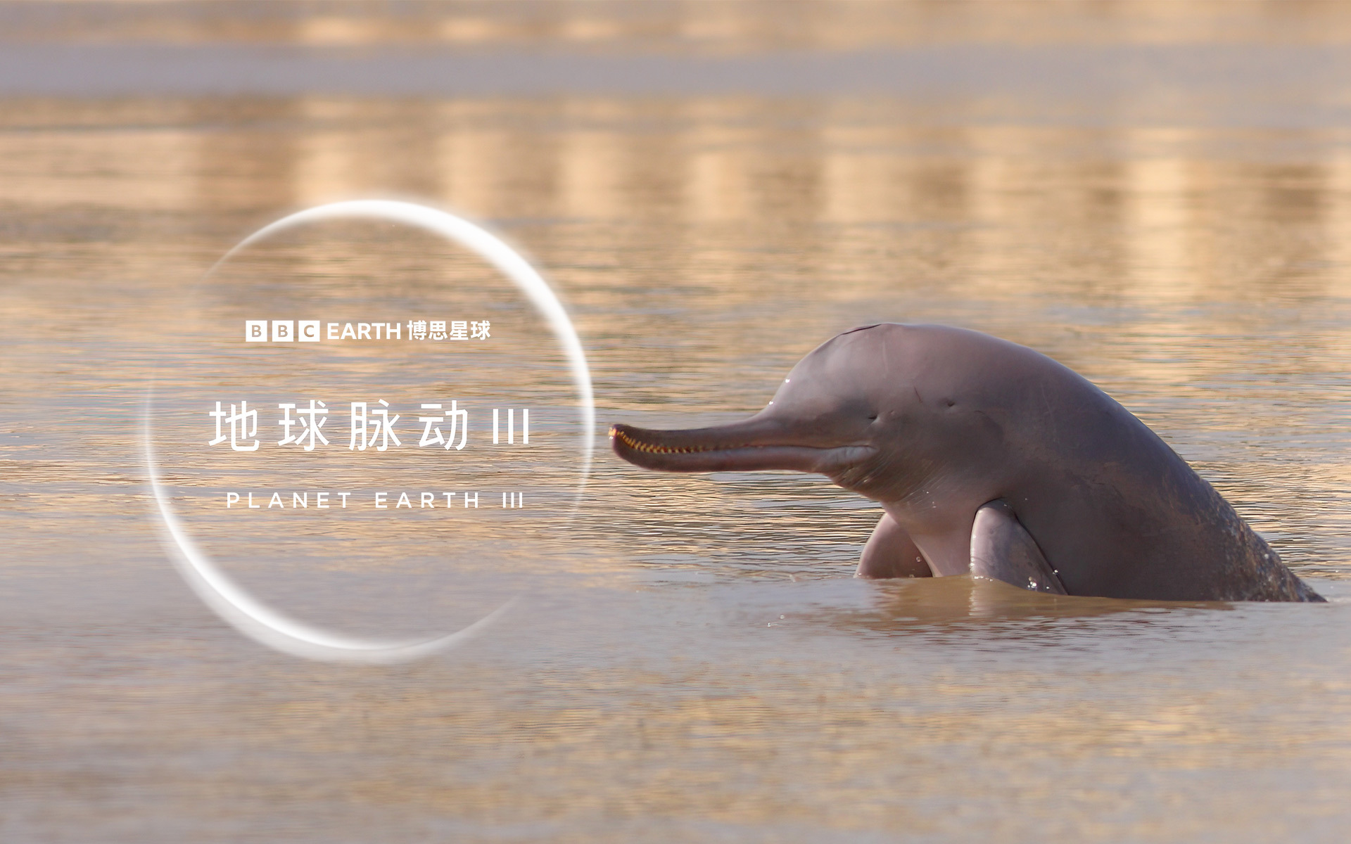 地球脉动 第三季 滴水之源