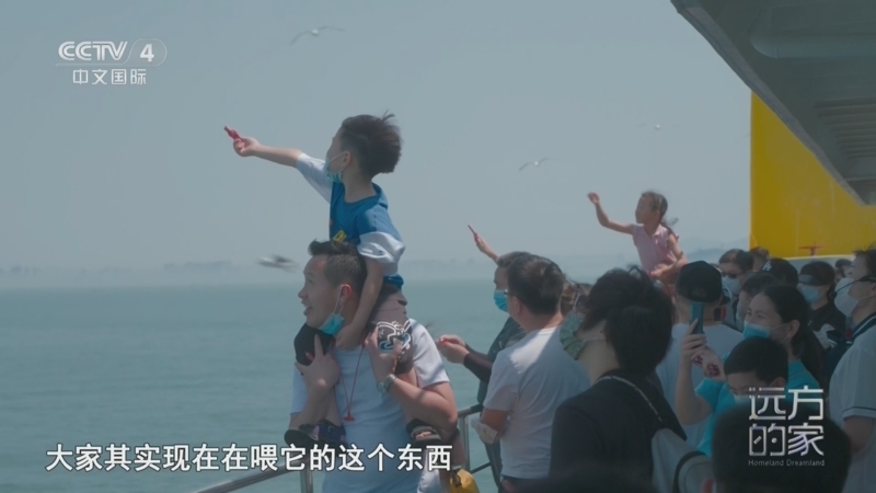 远方的家 《远方的家》 20260818 山河锦绣看中国 山海奇观 人间仙境