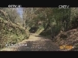 远方的家 百山百川行 第二百一十八集 南岭山脉 千年梅关古道 《远方的家》 20140304