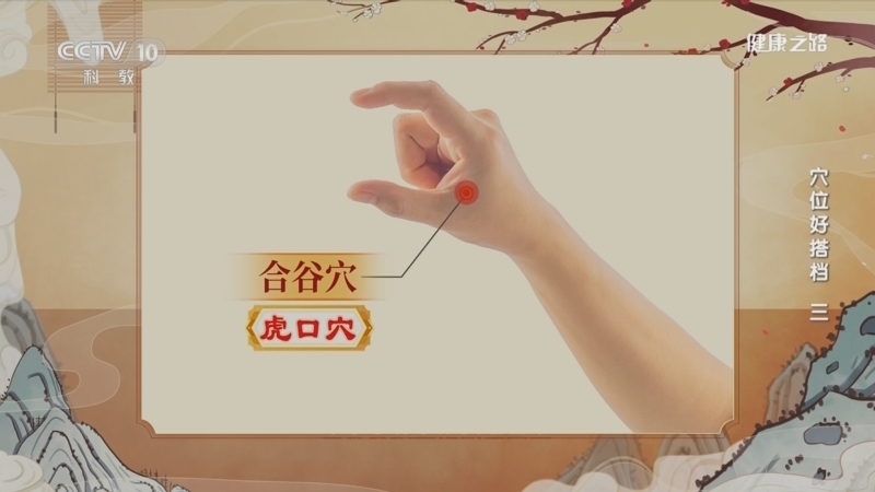 健康之路 《健康之路》 20230704 穴位好搭档（三）