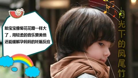 胎教音乐 第8周 月光下的凤尾竹