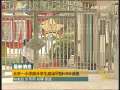 晚间新闻 [视频][最新消息] 北京一小学部分学生感染甲型H1N1流感