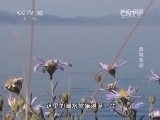 地理中国 《地理中国》 20140320 雪域圣湖