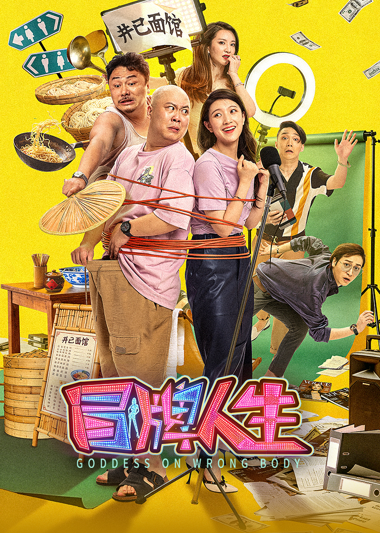 冒牌人生 海报