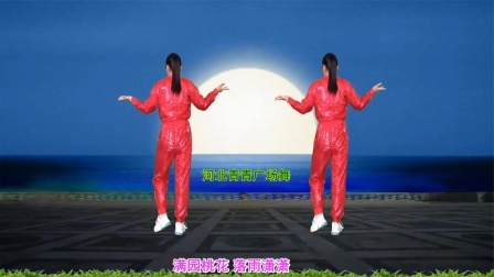 流行DJ广场舞及教学 第三季 动感潇洒DJ广场舞《红尘笑》背面演示分解