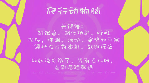 【劳师长说】熊孩子的背后有个”熊“的大脑