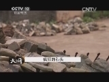 天网 《天网》 20141111 疯狂的石头