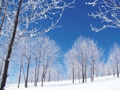 经典传奇 揭秘真实的“林海雪原”
