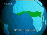 动物世界 动物世界 野林世界（上）