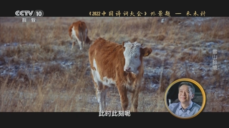 中国诗词大会放映室 《中国诗词大会放映室》 20240801 雪山秘境
